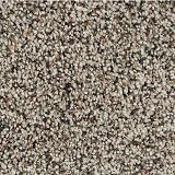 Mohawk CarpetSoft Distinction I